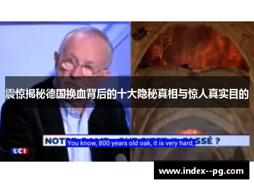 震惊揭秘德国换血背后的十大隐秘真相与惊人真实目的