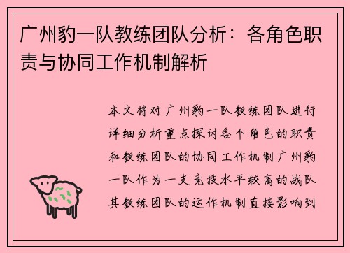 广州豹一队教练团队分析：各角色职责与协同工作机制解析